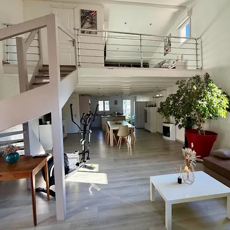 Large, Bright Loft With Mezzanine Apartamento Cannes