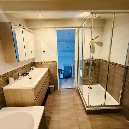 Large, Bright Loft With Mezzanine Cannes